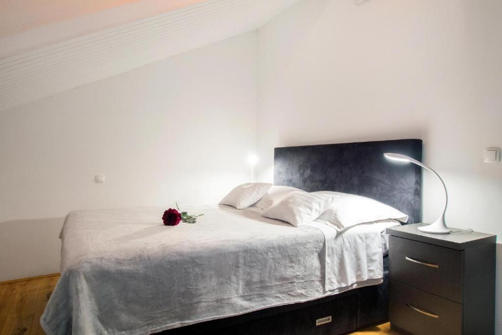 Bed & Breakfast Pino Подстрана Екстер'єр фото